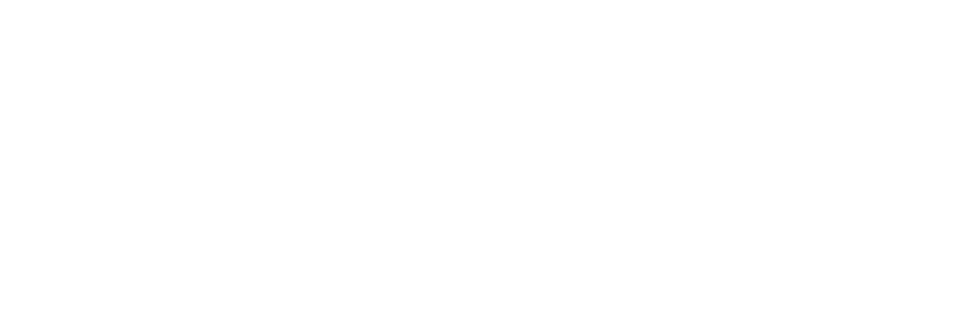 #39290 logo horizontal white